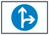 Schild Fahrtrichtung geradeaus oder rechts Symbol A4 Produktbild-Vorschau 1