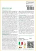 SAFLAX Insieme di coltivazione - Albero del drago - 5 semi Anteprima dell’immagine prodotto 3
