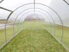 Polycarbonat Gewächshaus „Premium“ 3x6m aus Stahl, mit 4mm Produktbild-Vorschau 6