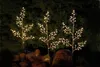 Three illuminated decorative trees are placed in front of a dark green, leafy background, with large rocks in the foreground. Anteprima dell’immagine prodotto