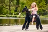 Cavallo meccanico da equitazione Ponnie Ebony M Anteprima dell’immagine prodotto 19