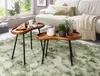 WOHNLING Couchtisch WL5.670 71x42x40 cm Sheesham massiv Produktbild-Vorschau 8