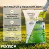 FUXTEC Rasensamen Spiel- & Sportrasen FX-RSSP1 | robuster Produktbild-Vorschau 4