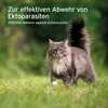 AniForte Ectoprotex Spot On für Katzen 50 ml - Effektive Produktbild-Vorschau 5