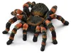 Schleich® Wild Life 14829 Tarantola Anteprima dell’immagine prodotto 6