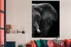 MuchoWow® Poster Tiere - Elefant - Wild - Schwarz - Weiß Produktbild-Vorschau 2