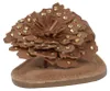 Lazamani Nomi  Teenslippers - Cognac - Maat 40 Produktbild-Vorschau 16