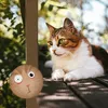 Magnet rund mit Katzengesicht verwirrte Katze Produktbild-Vorschau 3