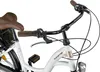 Licorne Bike Stella Plus Premium City Bike in Zoll Produktbild-Vorschau 6