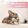 Felisept Augenpflege-Pads für Katzen 100 Stück Produktbild-Vorschau 5