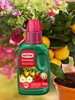 SUBSTRAL® 7391 SUBSTRAL® Eisendünger 250,0 ml Anteprima dell’immagine prodotto 5