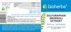 Bioherba Sulforaphan Brokkoli Extrakt 400 mcg 100 Kapseln Produktbild-Vorschau 2