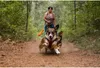 Ruffwear Gourdo Spielzeug Campfire Orange L Produktbild-Vorschau 3