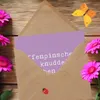 Mr. & Mrs. Panda Grußkarte Spruch Affenpinscher Äffchen - Produktbild-Vorschau 3