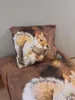 BrandMac komplet pościeli z wiewiórką 135 x 200 cm 80 x 80 Podgląd zdjęcia produktu 5