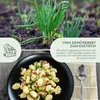 Frühlingszwiebel Samen (Weißer Lissabonner, 75 Korn) - Produktbild-Vorschau 3