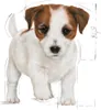 Royal Canin Puppy Mini - 2 kg Produktbild-Vorschau 16