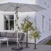 Girandola LED da esterno Olivec 20 LED Olivenzweig mit Anteprima dell’immagine prodotto 5