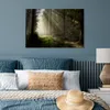 MuchoWow® Poster Wald - Baum - Nebel 60x40 cm - Produktbild-Vorschau 4