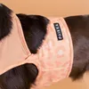 PAIKKA Hunde Kühlweste "Cool Vest" pfirsich, Größe: M Produktbild-Vorschau 5