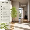 Umělý bambusový strom Bambosa, realistická textura - 180 cm Náhled obrázku produktu 3