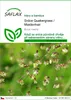 SAFLAX - Srdce Quakergrass / Maidenhair - Briza media - 75 Náhled obrázku produktu 1