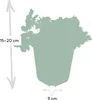 Waldsteinia ternata | 6 Stücke - 10-25cm - Ø9cm - Produktbild-Vorschau 6