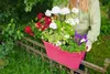 KHW Geländerblumenkasten Flowerclip XL aus hochwertigem Produktbild-Vorschau 6