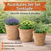 Esschert Design Staršia terakotová 3-er Topfset rund; AT01 Náhľad obrázku produktu 6