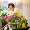 Vtáčí hotel do záhrady - Závesný - Drevo - Prírodná hnedá Náhľad obrázku produktu 3
