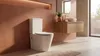 SAT Brevis Stand-Kombi-WC mit Bidetfunktion Warm- und Produktbild-Vorschau 17