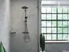 hansgrohe AddStoris Einzelhaken mattschwarz, 1 Stk. Produktbild-Vorschau 16