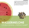 Wassermelone Samen (Citrullus lanatus) - Exotische Melonen Produktbild-Vorschau 3
