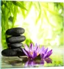 Bilder auf glas - Spa bambus blume wasser - 40x40cm - Produktbild-Vorschau 1