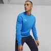 Puma Teamgoal Sweat Kinder - Royal Produktbild-Vorschau 3