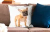 MuchoWow® Zierkissen Sofakissen Wohnzimmer Dekokissen 50x50 Produktbild-Vorschau 2