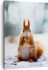 Bild auf Leinwand - Leinwandbild - Einteilig - Eichhörnchen Produktbild-Vorschau 1