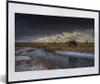 MuchoWow® Gerahmtes Poster Pferde - Eis - Gras 60x40 cm - Produktbild-Vorschau 1