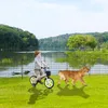 XMTECH Teichzaun Gartenzaun Metall Steckzaun Hundezaun mit Produktbild-Vorschau 11