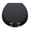 A top-down view of a black toilet seat. Náhled obrázku produktu