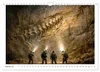 Verrückt nach Fossilien (Wandkalender 2027 DIN A4 quer), Produktbild-Vorschau 5