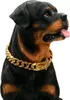 Goldenes Hundehalsband mit sicherem Schnallendesign, Produktbild-Vorschau 1