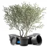 BigDean 8 Stück Blumentopf mit Untersetzer rund ø 40 cm Produktbild-Vorschau 1
