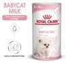 Muttermilchersatz für Kätzchen – BabyCat Milch – ROYAL Produktbild-Vorschau 9