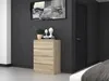 Topeshop M4 SONOMA, Dub, 4 zásuvka/zásuvek, Dřevotřískové Náhled obrázku produktu 10