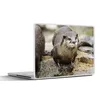 MuchoWow® Laptop Aufkleber Sticker Cover Otter - Stein - Produktbild-Vorschau 1