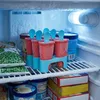 Eisform Für Eisamstäbchle Formen Für Hausgemachtes Eis Und Produktbild-Vorschau 5