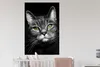 MuchoWow® Wandtattoo Wandsticker Wandaufkleber Haustiere - Produktbild-Vorschau 5
