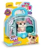 Kit de jeu Little Live Pets « Ouchies S2 » : Mini Coco le Voir les images du produit 5