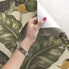 Coloray Fototapete 250x250 cm Vlies-Fototapete - Palm Produktbild-Vorschau 3
